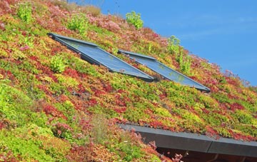 Dickon Hills living roof systems
